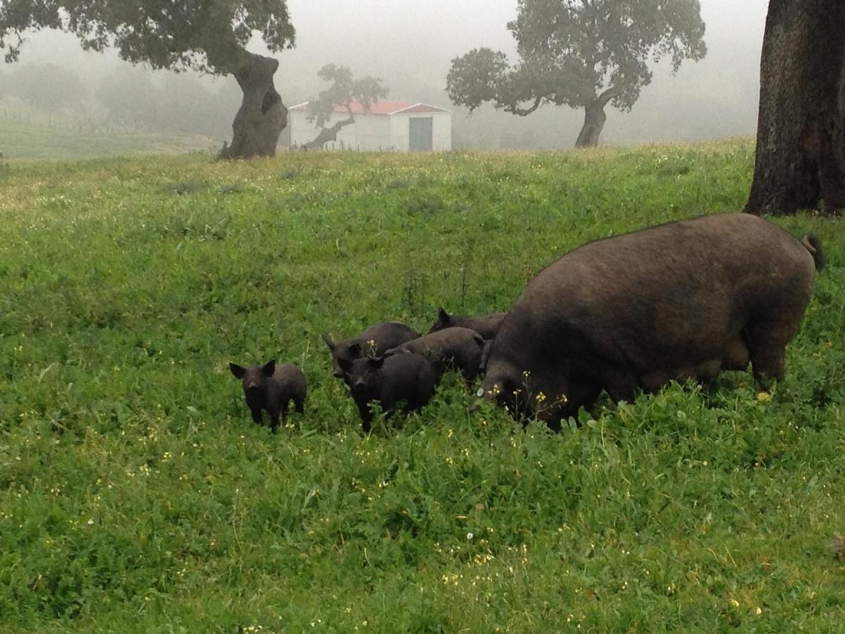 Casa Rural Monterrey Aroche 外观 照片