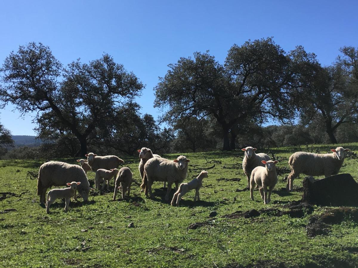 Casa Rural Monterrey Aroche 外观 照片